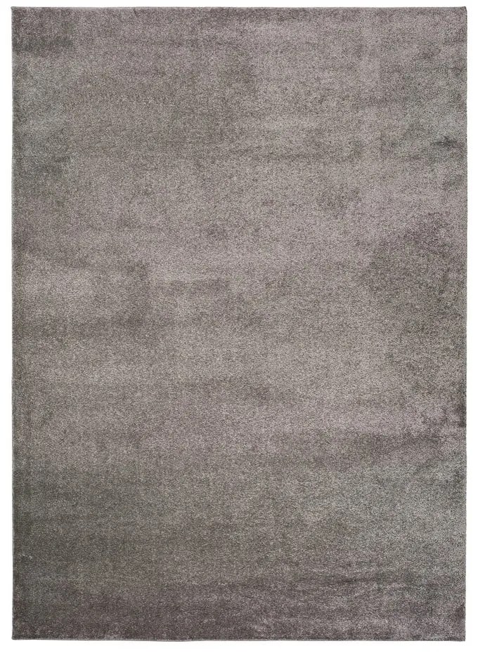 Covor Universal Montana, 200 x 290 cm, gri închis