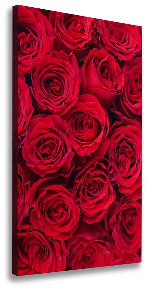 Tablou pe pânză canvas Trandafir roșu