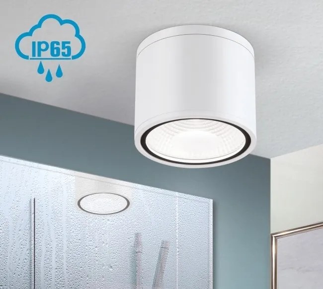 Spot LED aplicat cu protectie la umiditate IP65, SPUTNIK 14,5cm, alb