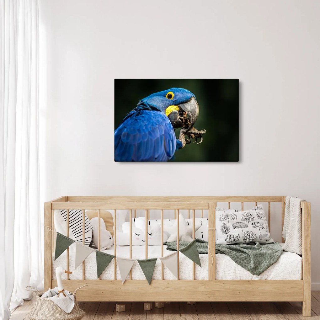 Tablou cu papagal (90x60 cm)