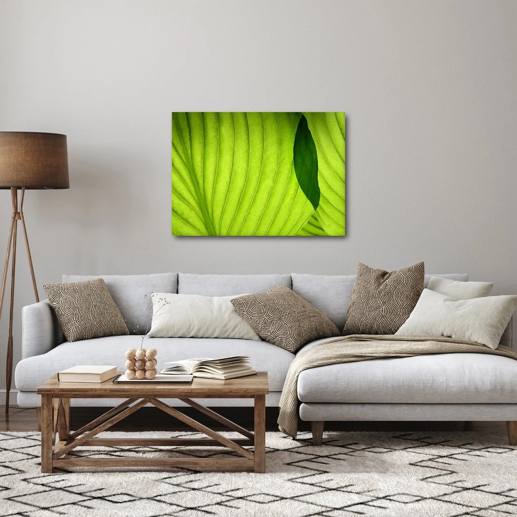 Tablou - Detaliu de frunză verde (70x50 cm)