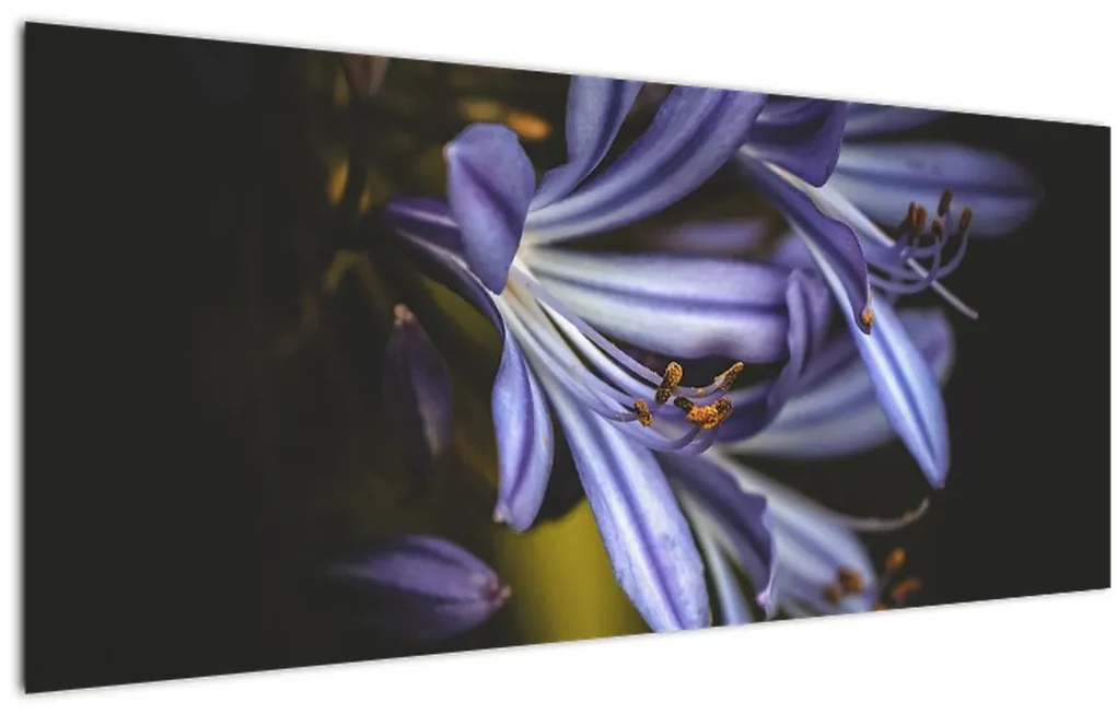 Tablou - Lila (120x50 cm), în 40 de alte dimensiuni noi