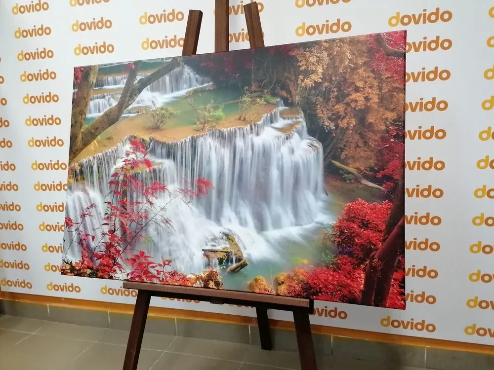 Tablou cascada forestieră