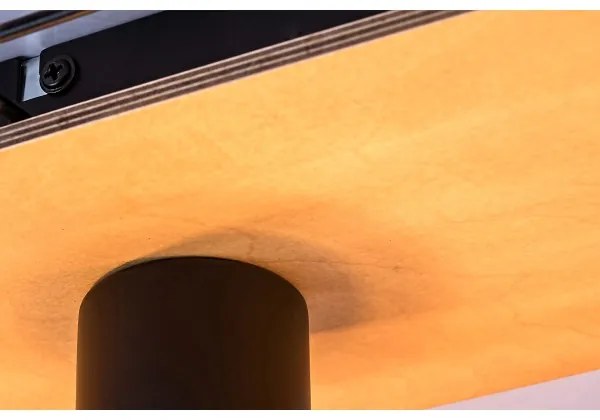 Plafonieră BOIRE 3xE27/40W/230V Rabalux 71023