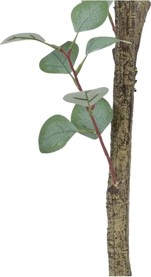 Eucalipt artificial (înălțime 180 cm) Eucalyptus – Ixia