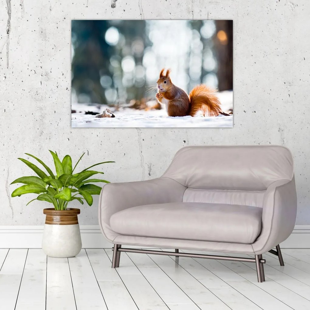 Tablou - Veveriță (90x60 cm)