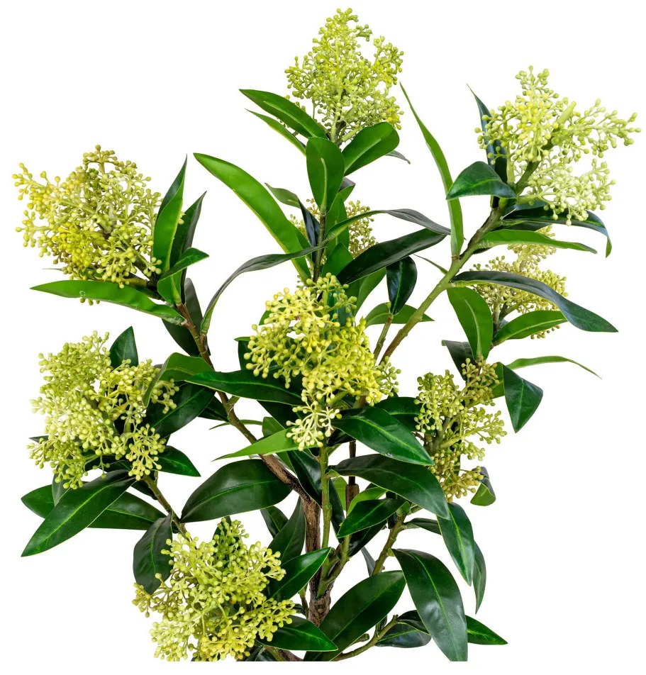Skimmia fa műnövény, zöld 75 cm