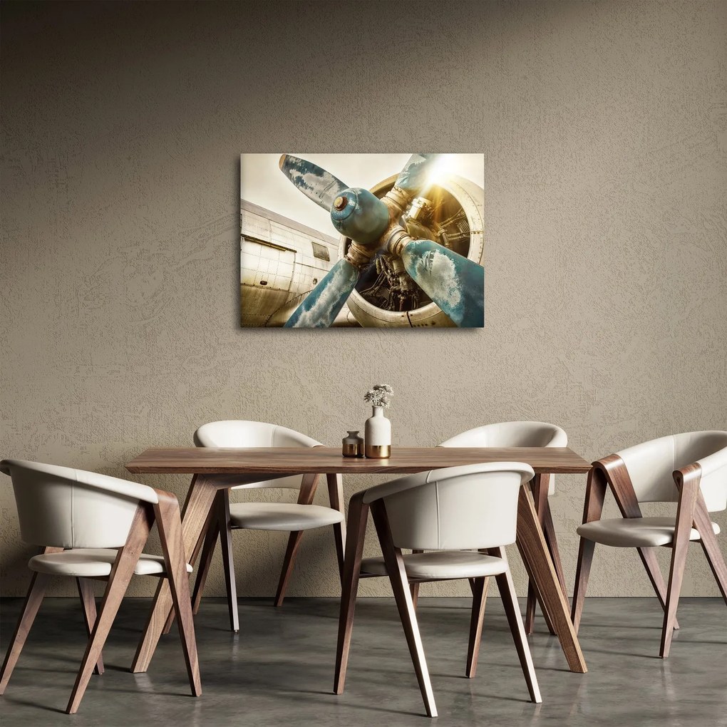 Tablou - Elice de avion vechi (70x50 cm)