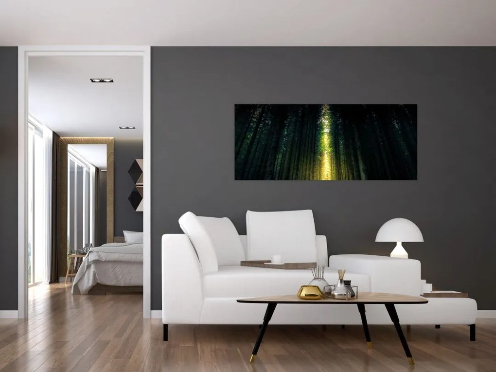 Tablou cu pădurea întunecată (120x50 cm)