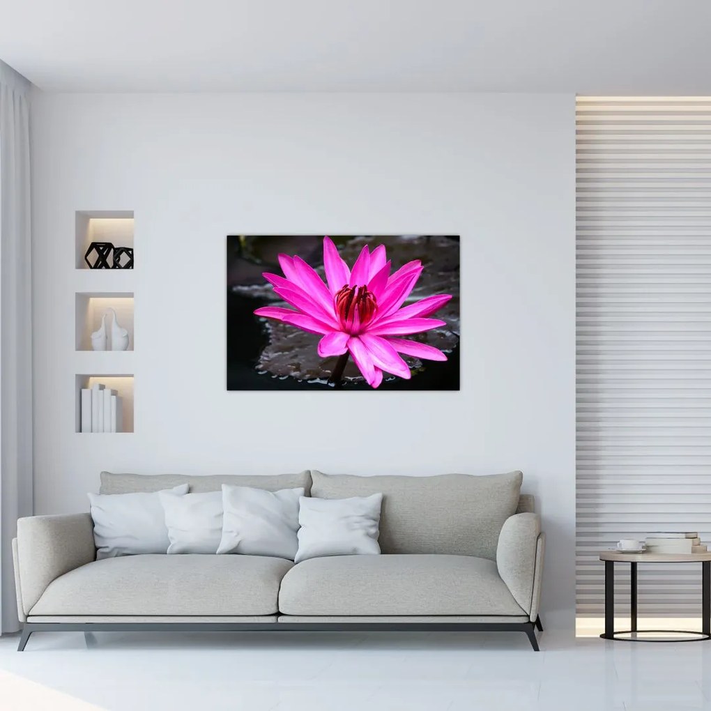 Tablou - floarea roz (90x60 cm)
