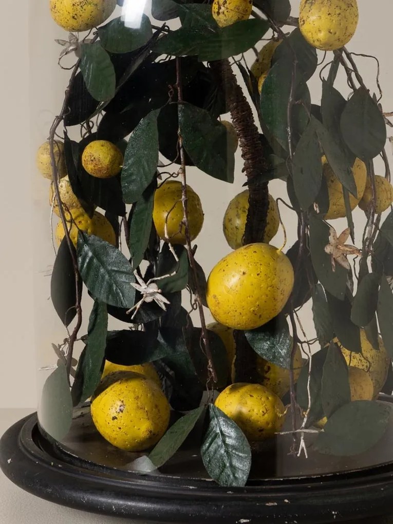 Clopot de sticlă cu lămâi artizanal, „Lemon Precious”