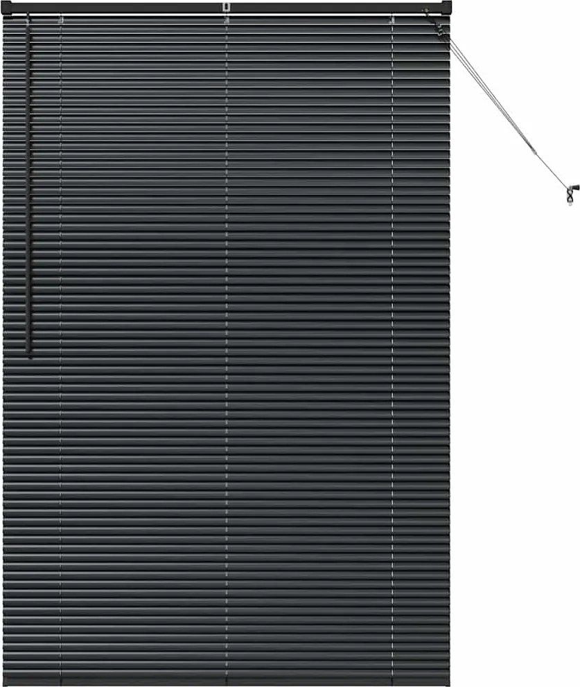 vidaXL Jaluzele venetiene Manual Negru 175 x 115 cm Aluminiu