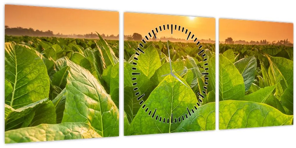 Tablou - Câmp (cu ceas) (90x30 cm)