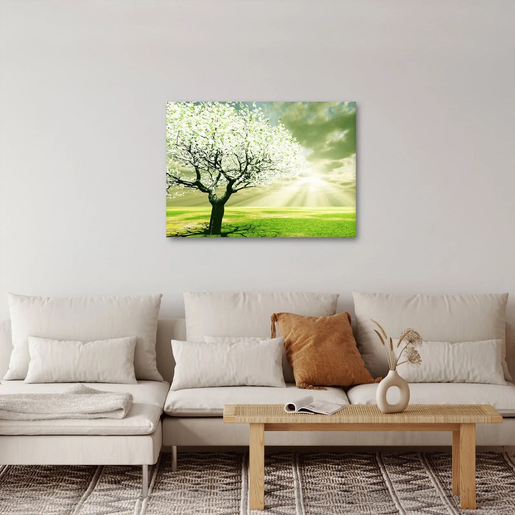 Tablou cu copaci pe luncă (70x50 cm)