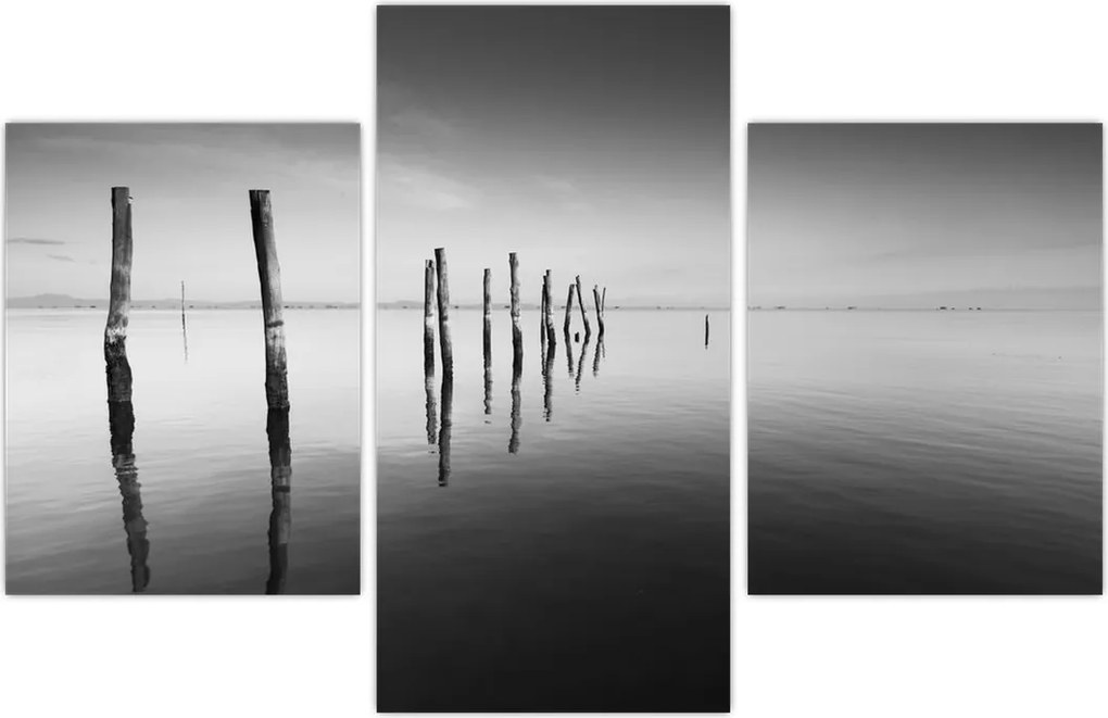 Tablou cu nivelul de lac alb negru (90x60 cm)