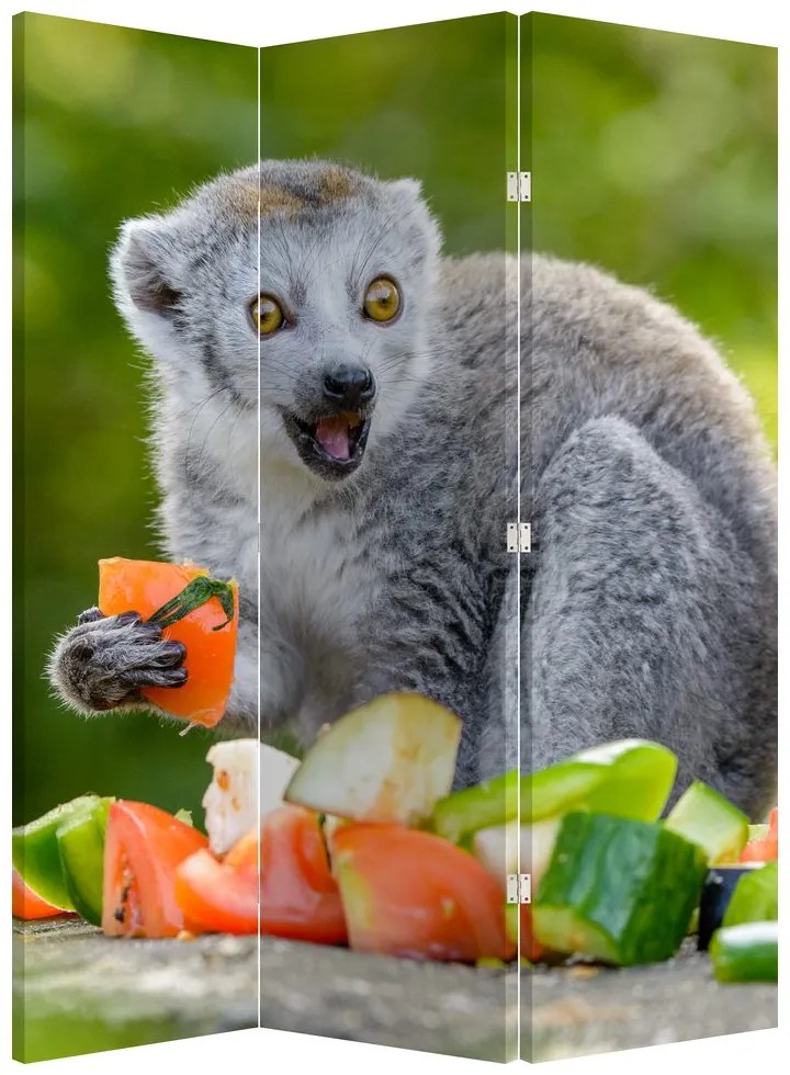 Paravan - Lemur (126x170 cm)