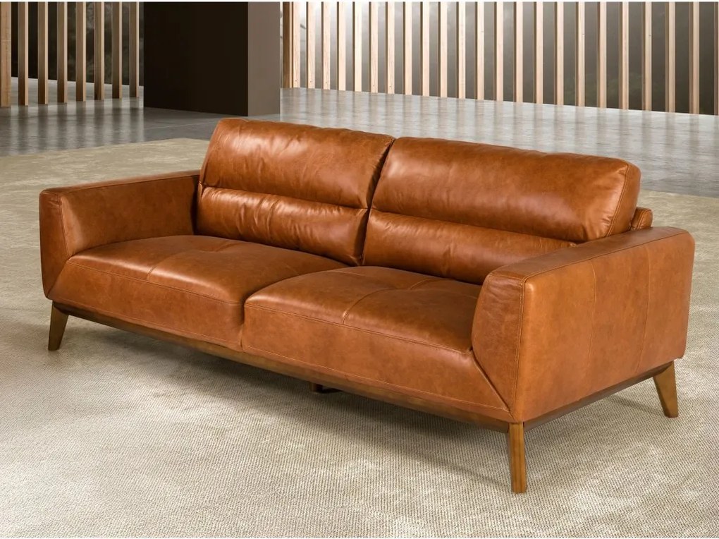 Canapea 3 locuri, eleganta design italian Griselda AC-KF1016-3P