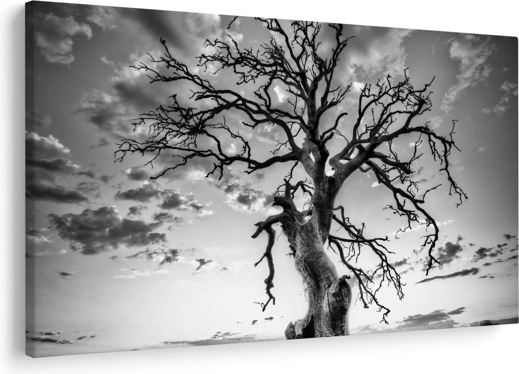 Tablou - Copacul, alb-negru (90x60 cm)