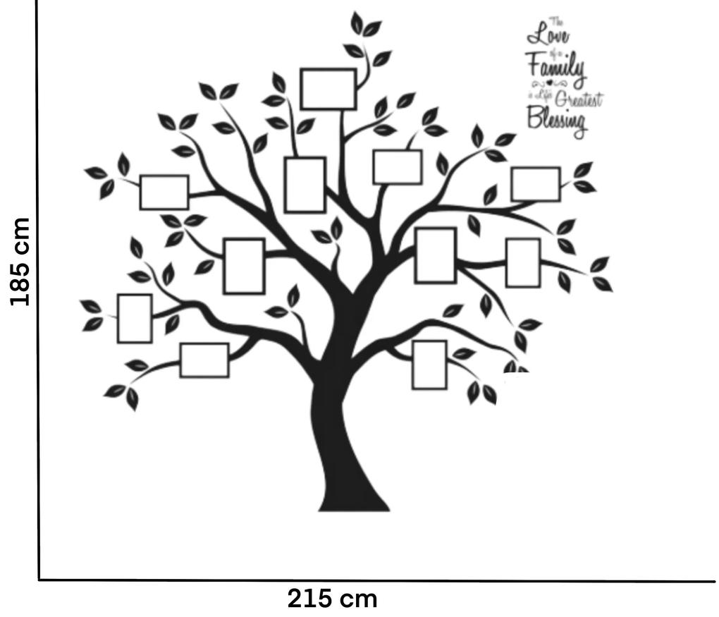 Autocolant de perete "Arbore cu fotografii 3 - culoare neagră" 185x215cm