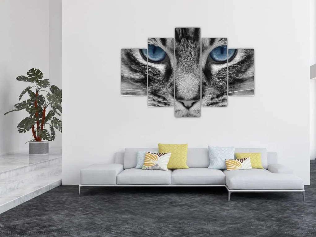 Tablou cu pisica (150x105 cm)