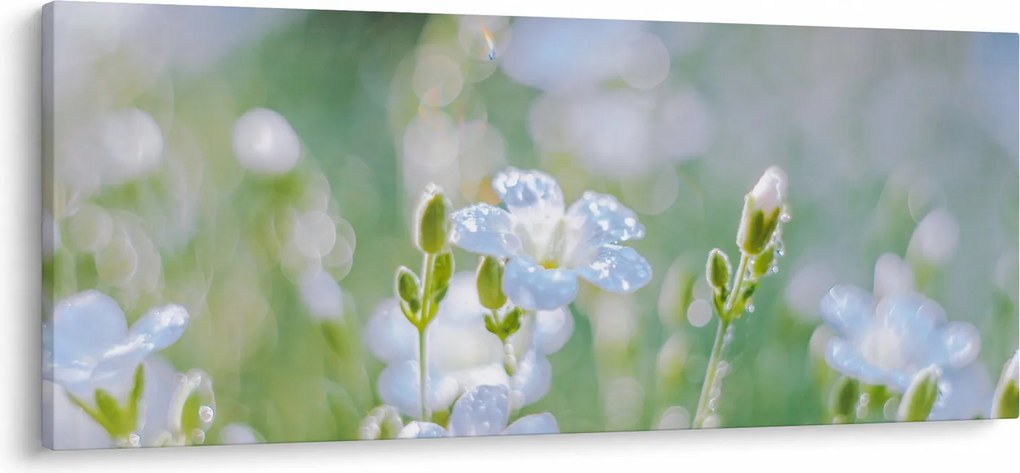 Tablou - Flori delicate (120x50 cm)