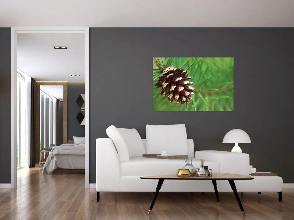 Tablou cu con (90x60 cm)