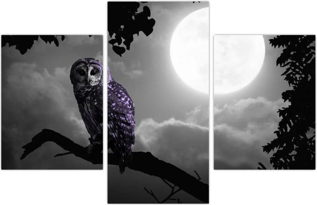 Tablou - Bufniță de noapte, bufniță mov (90x60 cm)