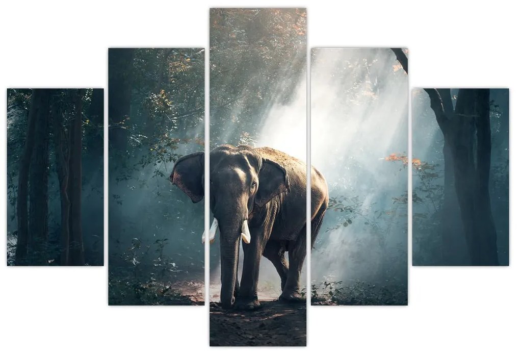 Tablou cu elefant în djunglă (150x105 cm)
