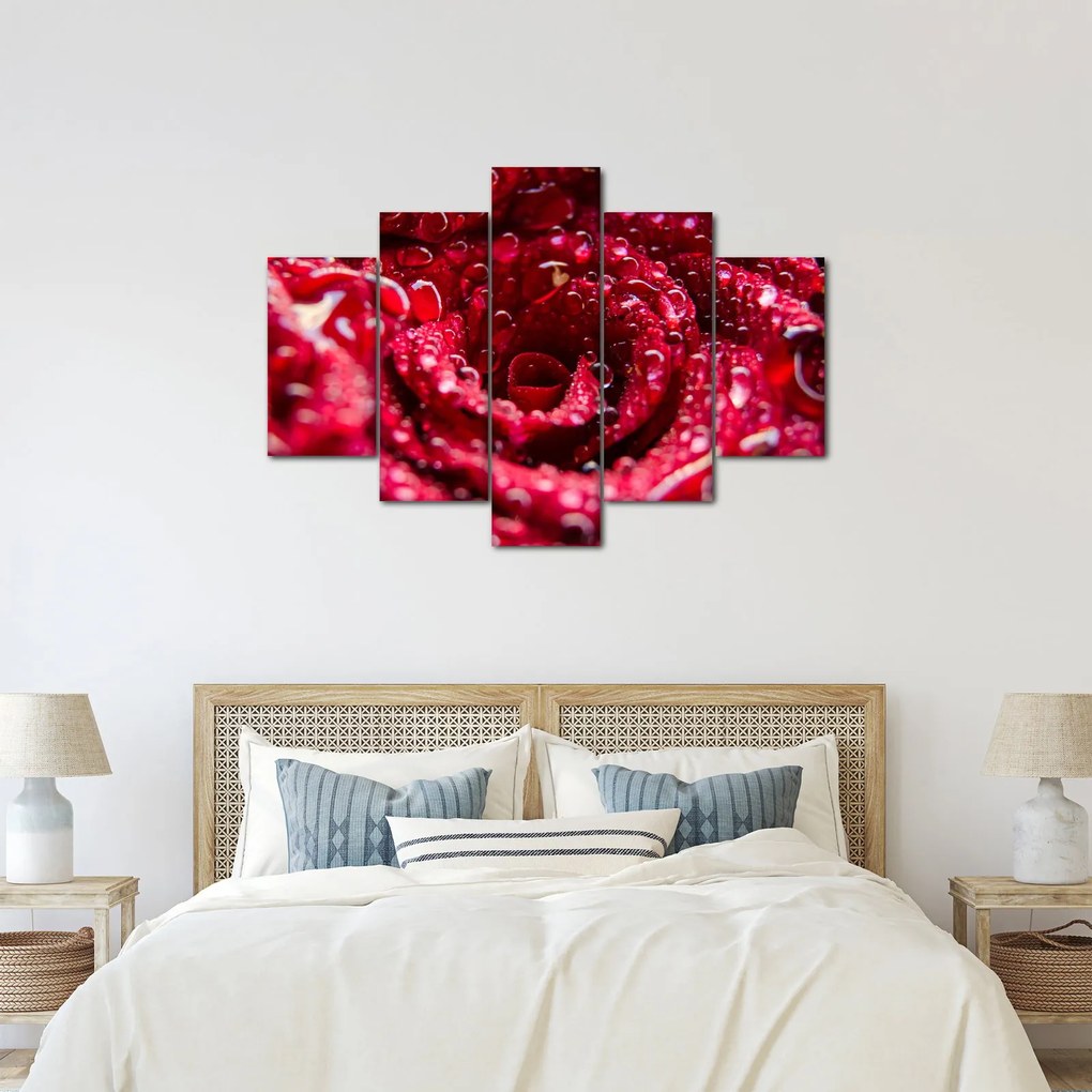 Tablou cu floarea trandafirului roșu (150x105 cm)