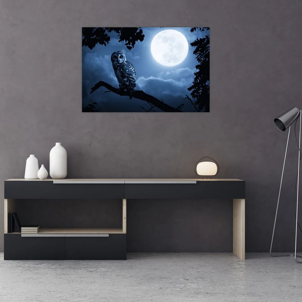 Tablou - Bufnița de noapte (90x60 cm)
