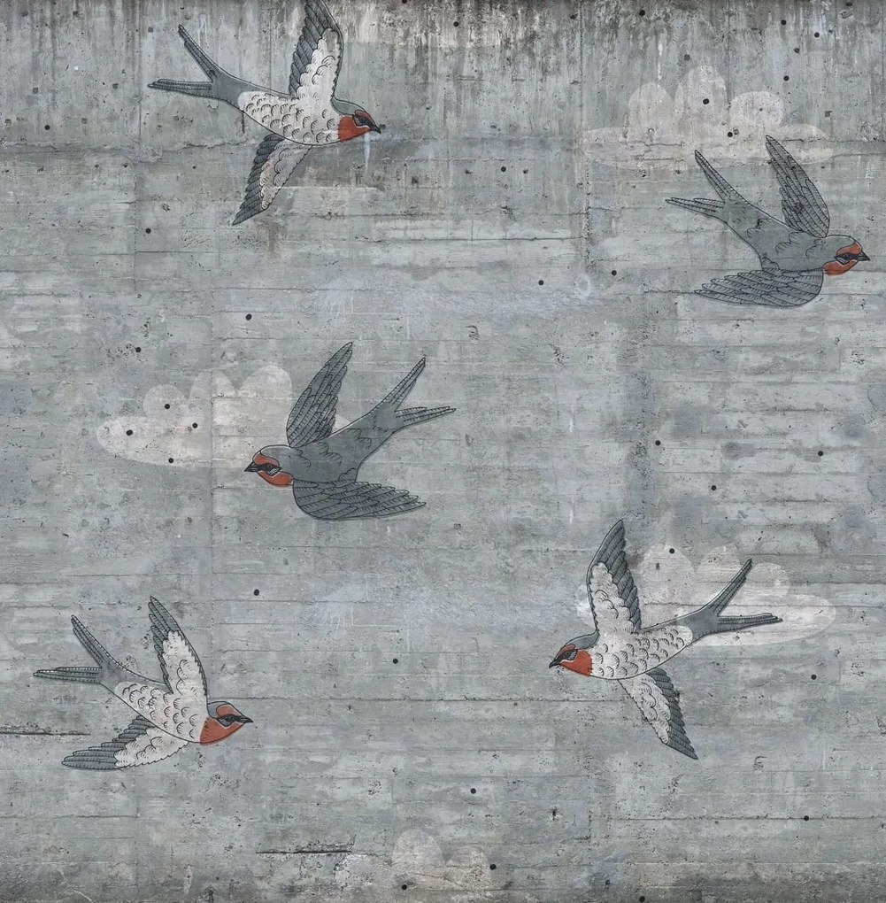 Fototapet, Concrete Art, Swallow, Rebel Walls