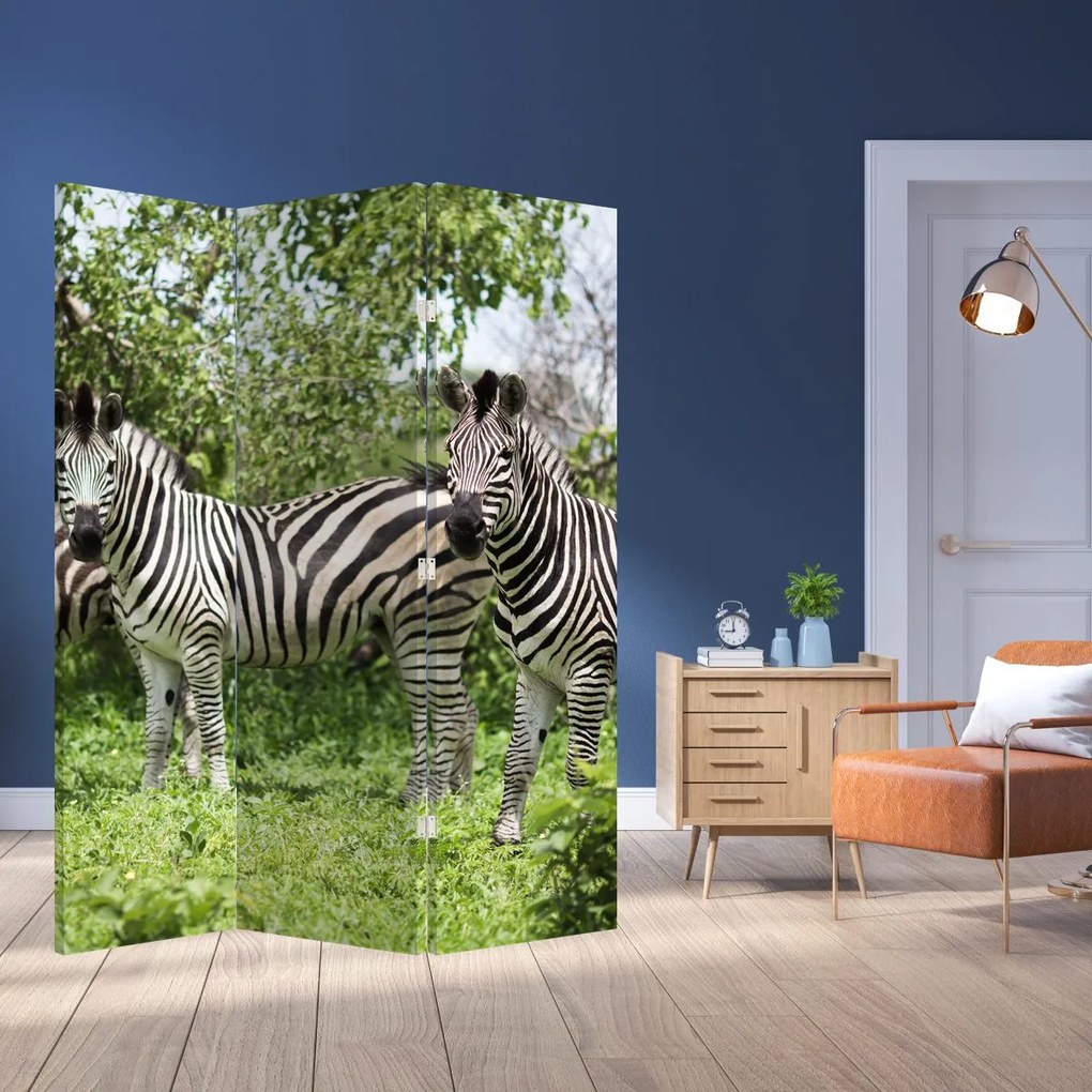 Paravan - Zebre (126x170 cm)
