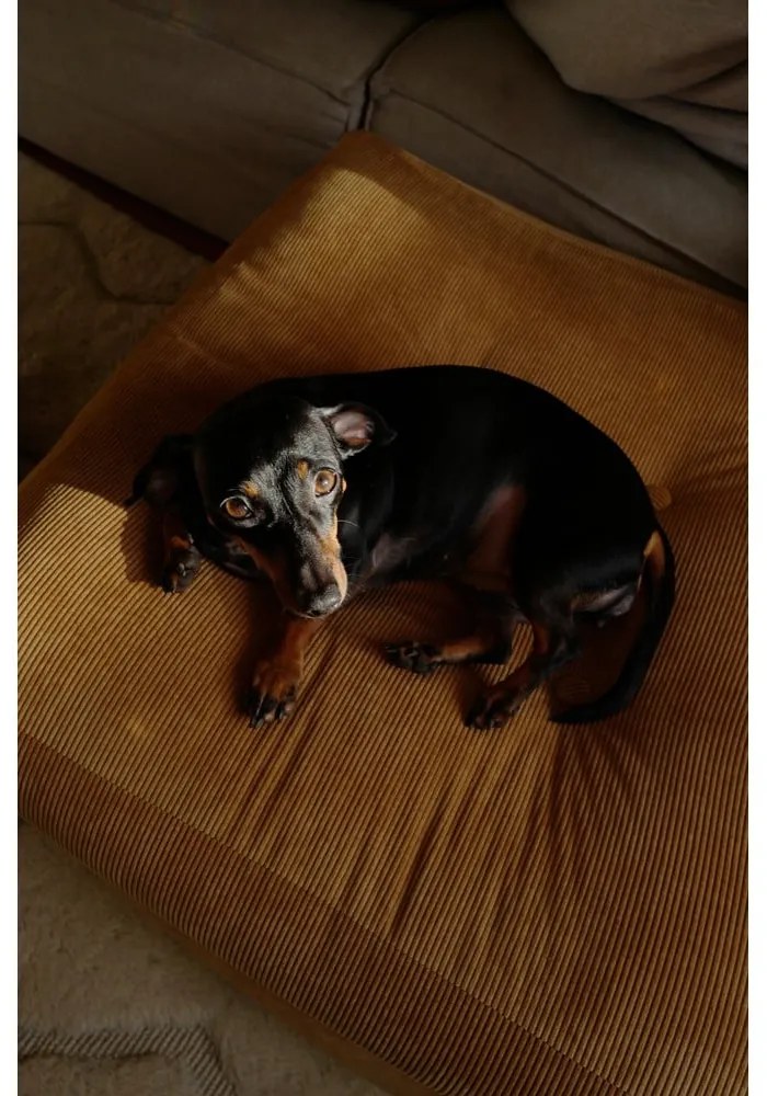 Puf Karup Design More Mocca