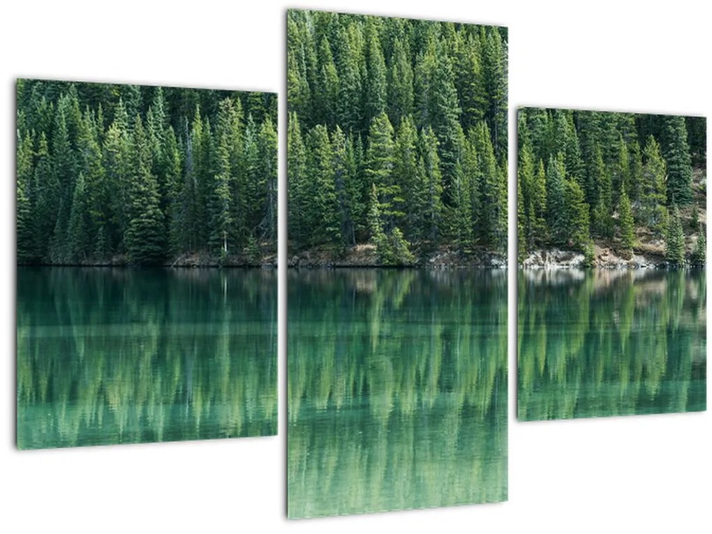 Tablou - Coniferi lângă lac (90x60 cm)