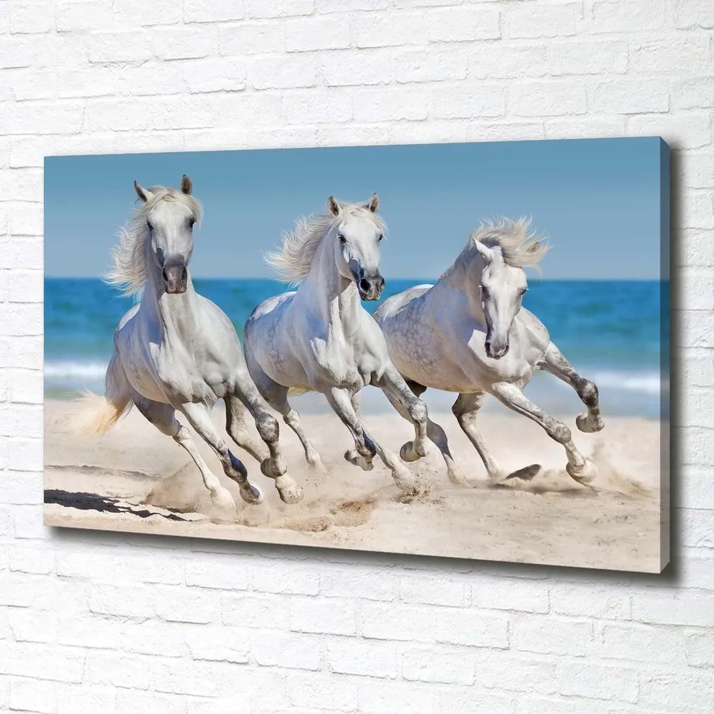 Imprimare tablou canvas White beach horse