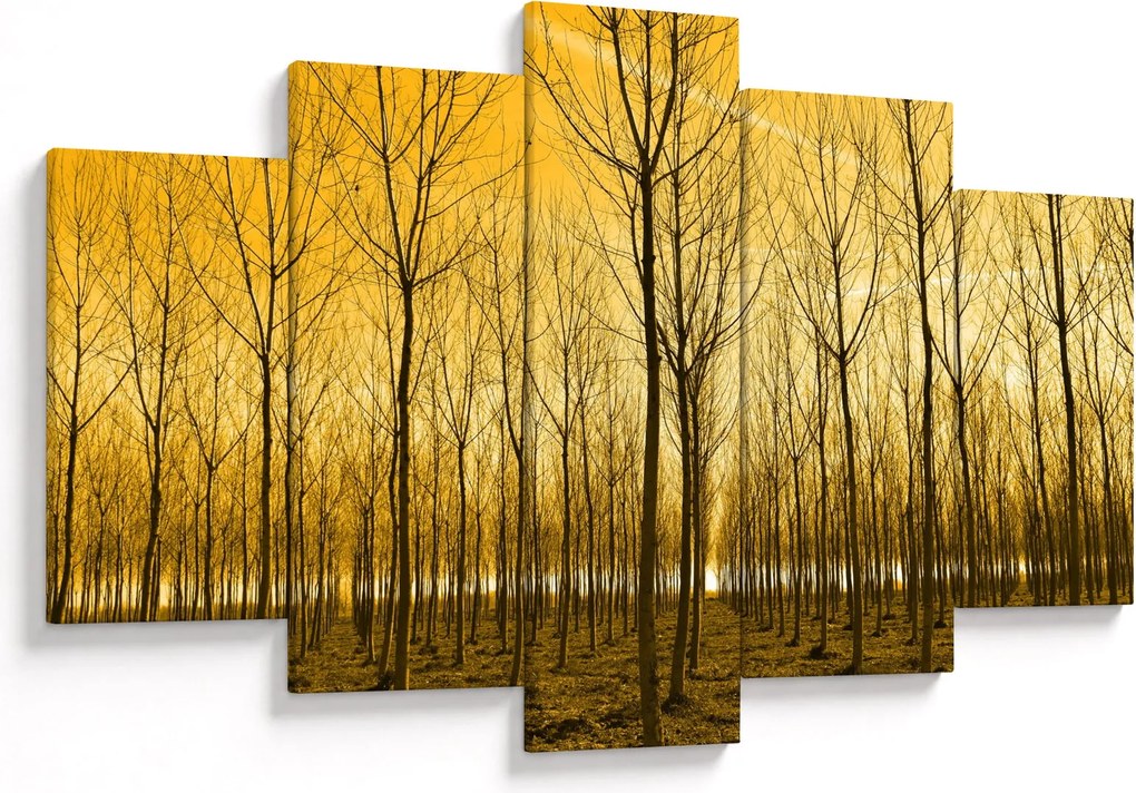 Tablou cu pădure în apus de soare (150x105 cm)