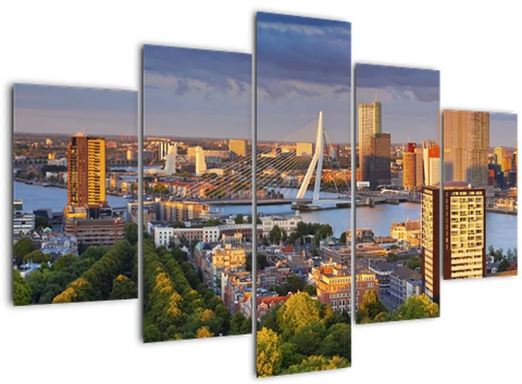 Tablou - Panorama Rotterdamului, Țările de Jos (150x105 cm)