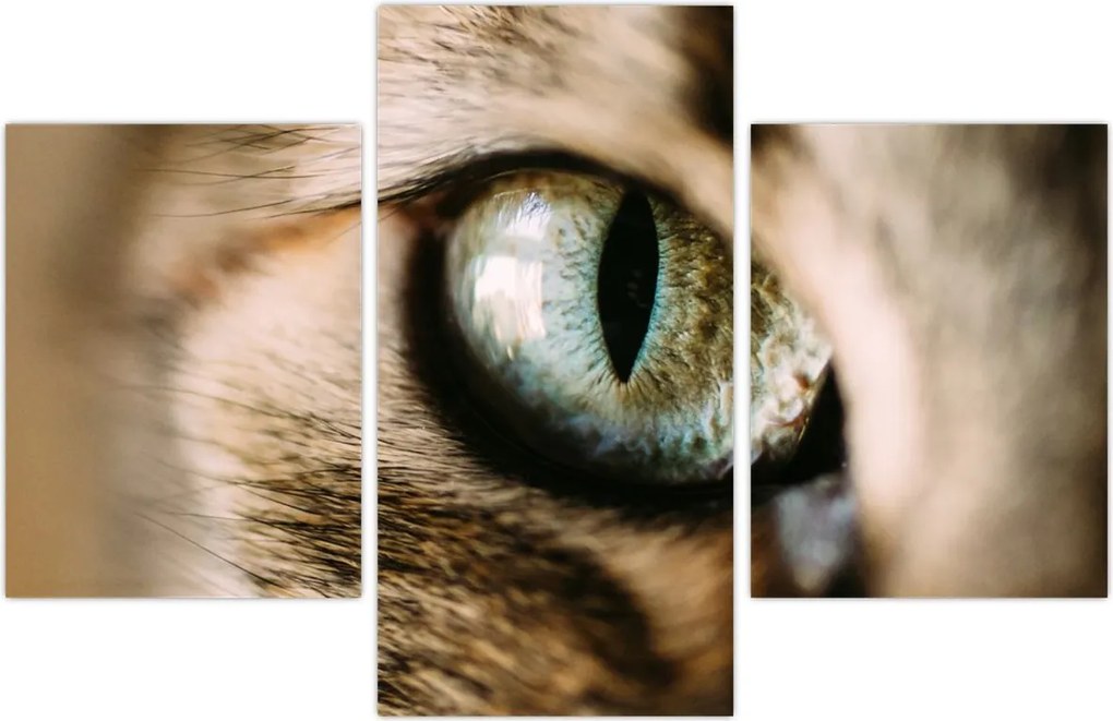 Tablou - Ochi de pisică (90x60 cm)