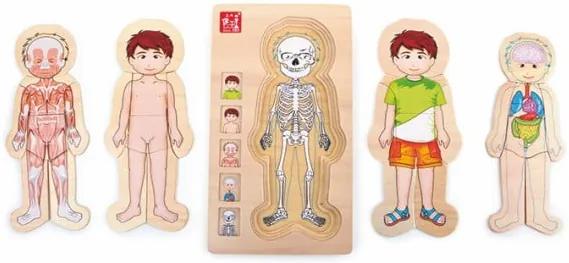 Jucărie din lemn Legler Anatomy Boy