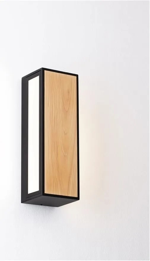 Aplica de perete LED iluminat exterior decorativ IP65 ASTRAL