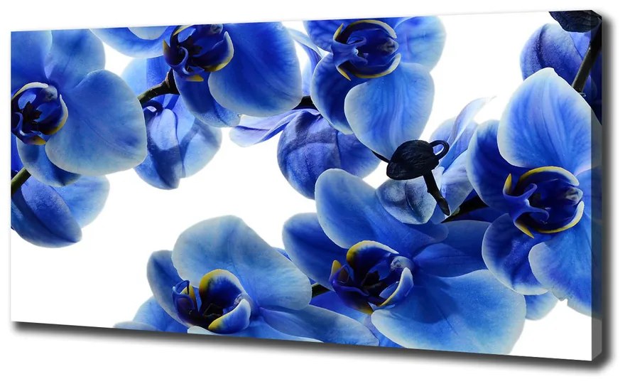 Imprimare tablou canvas Albastru orhidee