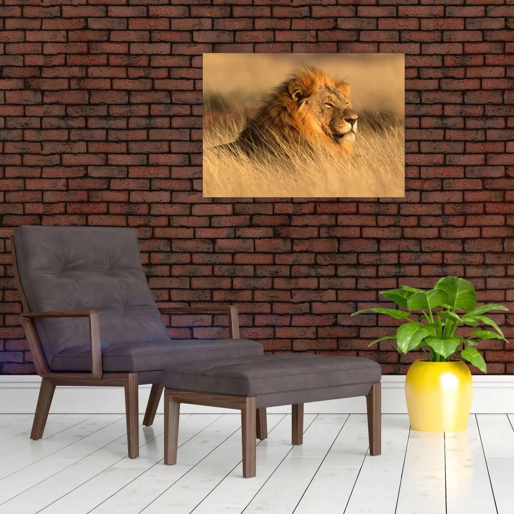 Tablou pe sticlă - Parcul Național Etosha (70x50 cm)