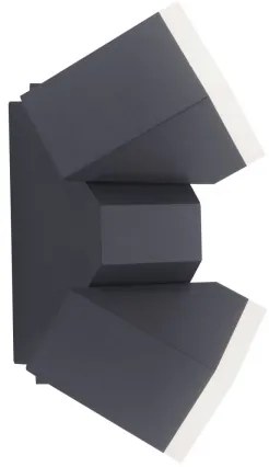 Aplică LED de exterior RYAN 2xLED/5W/230V IP54 Paul Neuhaus 9722-13