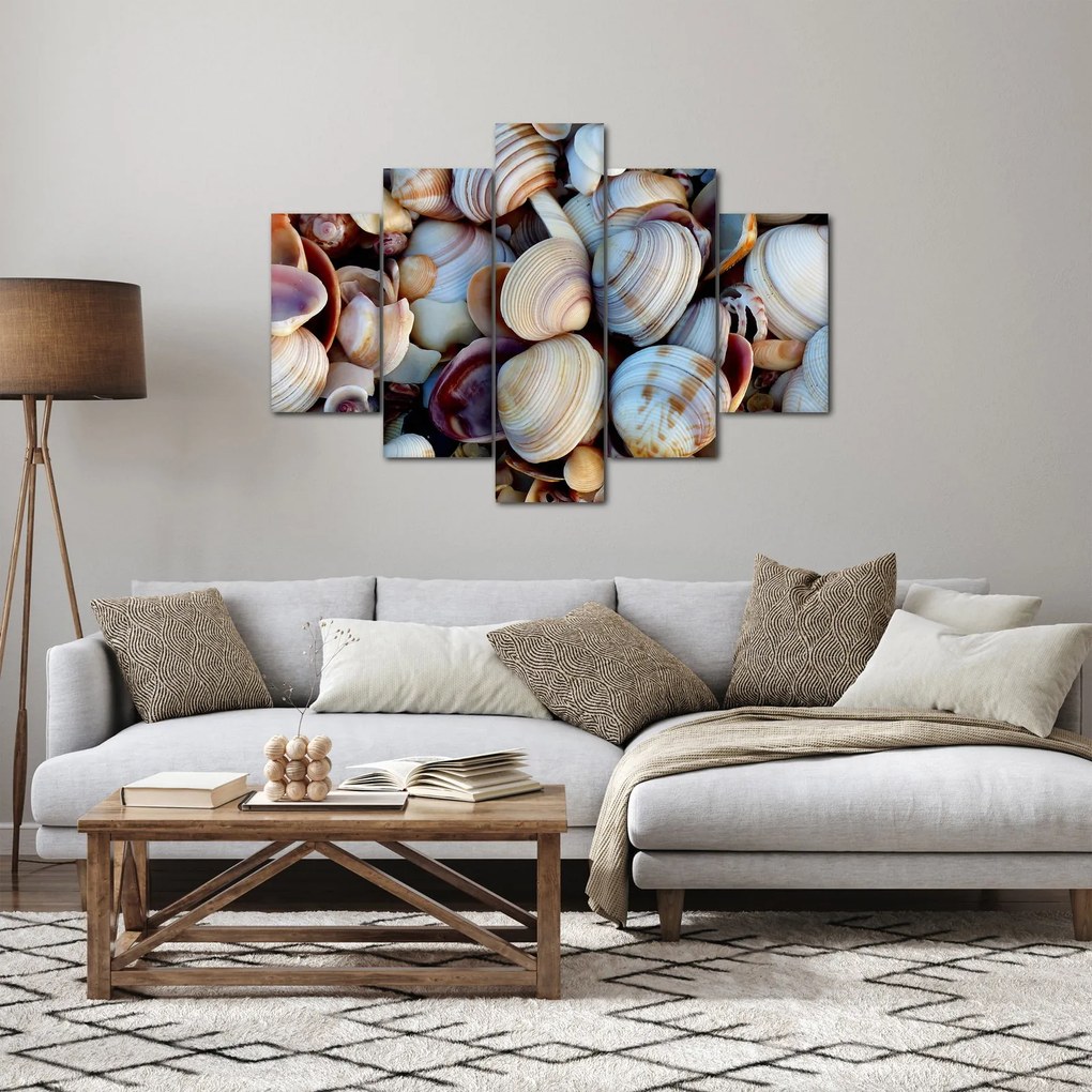 tablou cu scoici (150x105 cm)