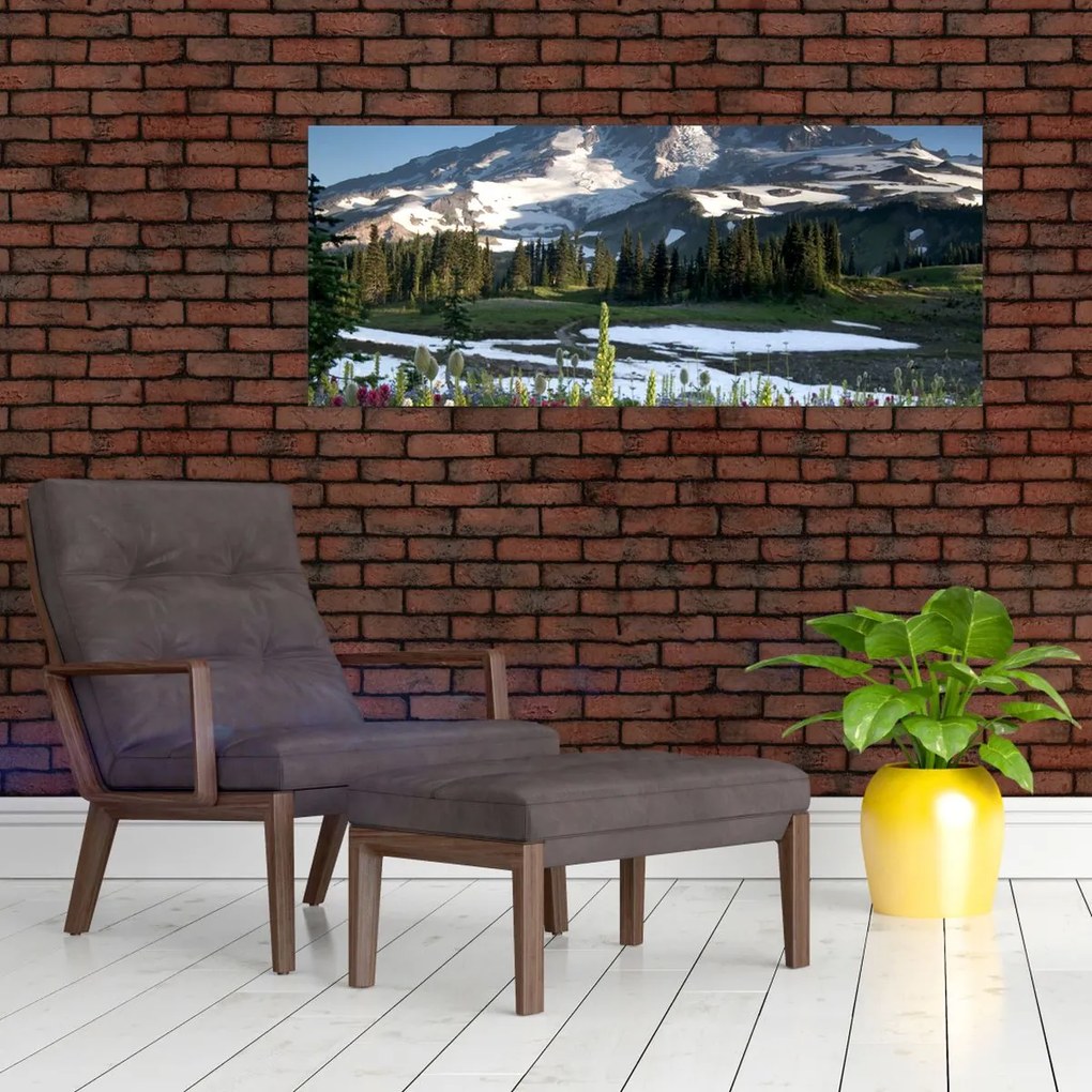 Tablou - Muntele Rainier (120x50 cm)