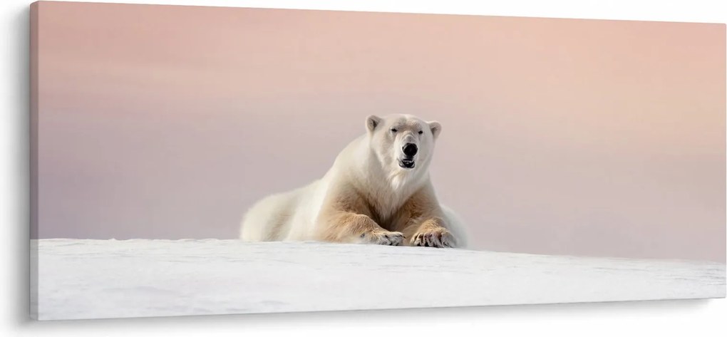 Tablou - Urs polar (120x50 cm)