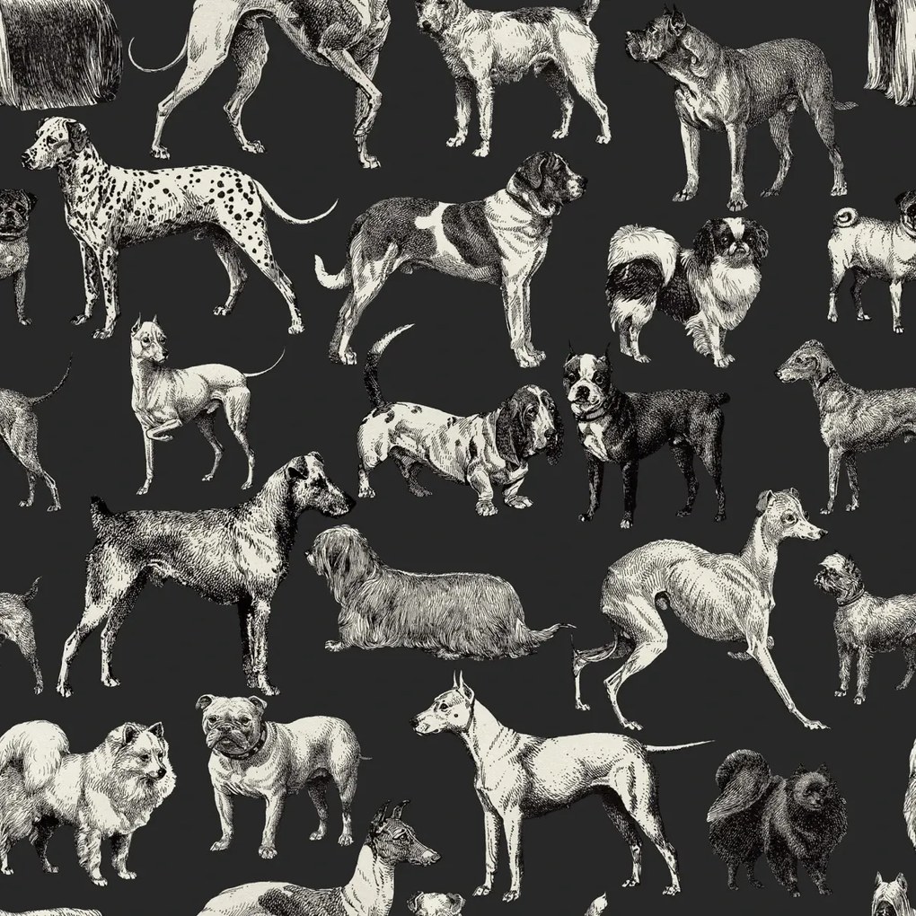 Fototapet, Dogs, Harlequin, Rebel Walls