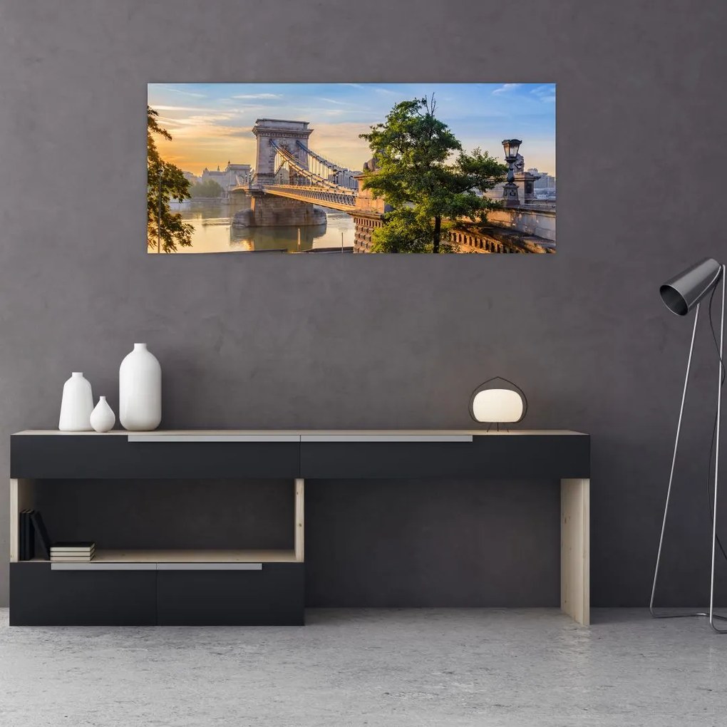 Tablou - Pod peste râu, Budapesta, Ungaria (120x50 cm)