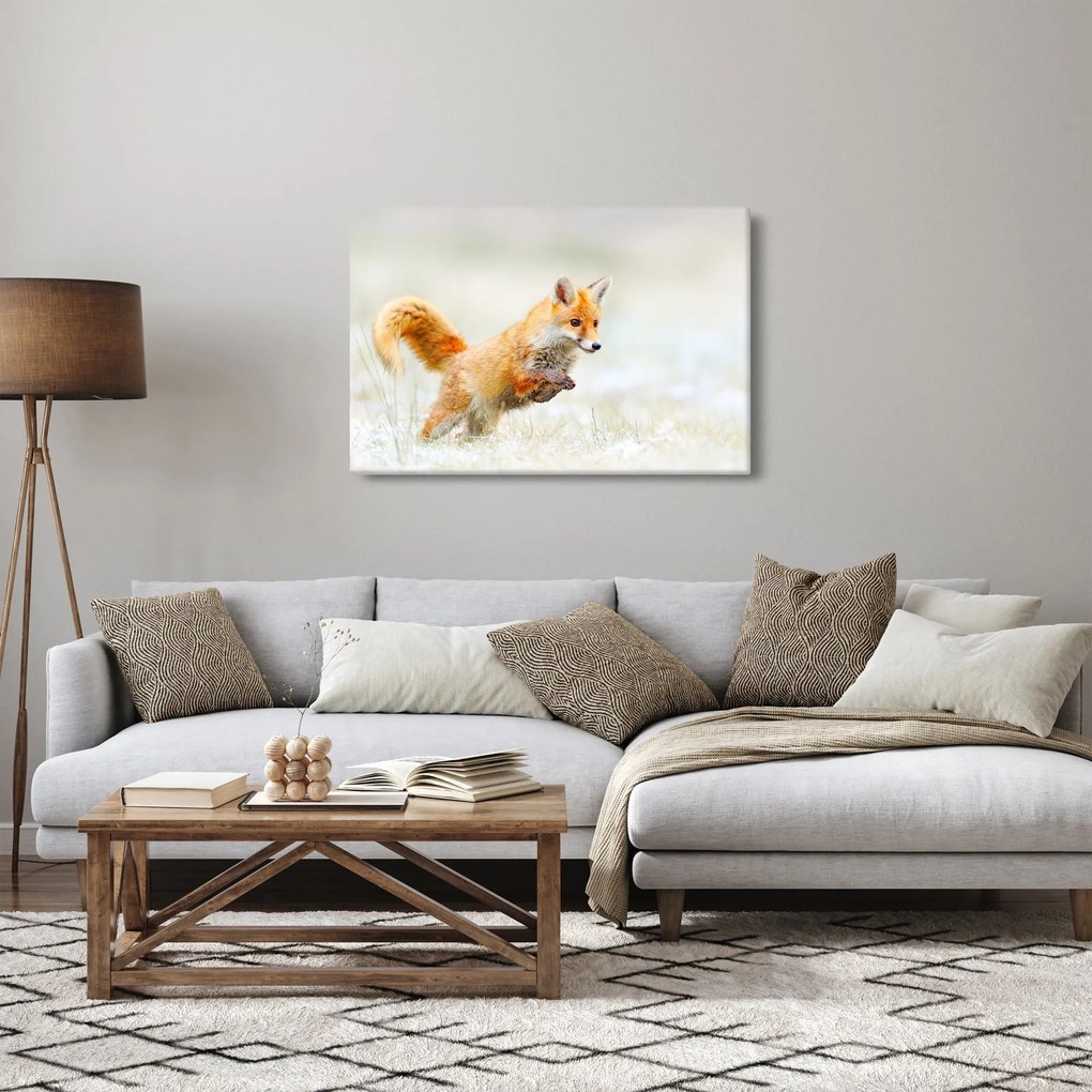 Tablou - Vulpe care sare (90x60 cm)