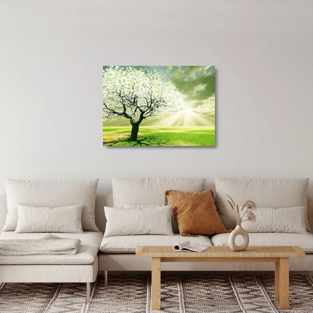 Tablou pe sticlă cu pomul înflorit (70x50 cm)